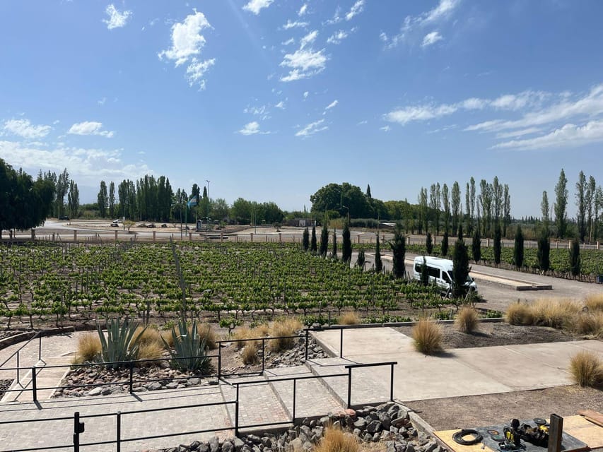 From Mendoza: 3 Wineries, Olive Oil Factory Tour & Tasting - What the $34 price really includes