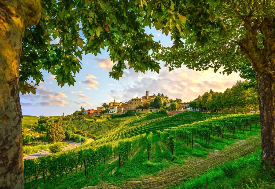 From Milan: Barolo Wine Tasting, Alba Tour and Castle Visit - Leaving Milan for the Langhe hills