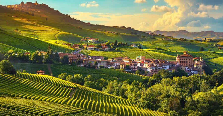 From Milan: Barolo Wine Tasting, Alba Tour and Castle Visit - Alba, the Piedmont town built around food