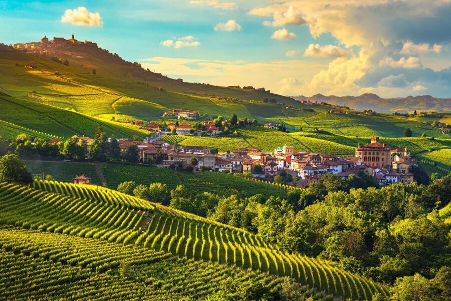 From Milan: Barolo Wine Tasting, Alba Tour and Castle Visit - The castle viewpoint above the vineyards