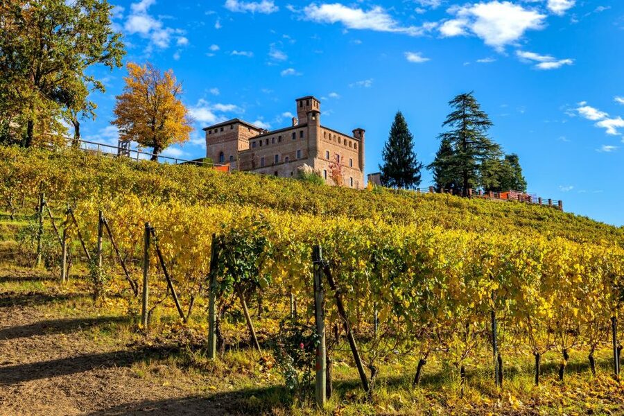 From Milan: Barolo Wine Tasting, Alba Tour and Castle Visit - Who should book this day trip?