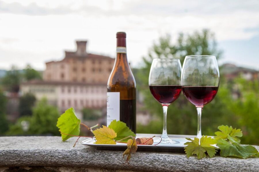 From Milan: Barolo Wine Tasting, Alba Tour and Castle Visit - My verdict: a strong Milan escape for wine and scenery