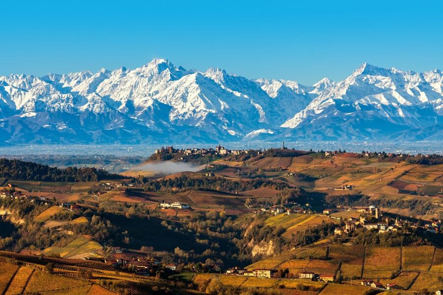 From Milan: Barolo Wine Tasting, Alba Tour and Castle Visit - Tasting Barolo with a family-run producer
