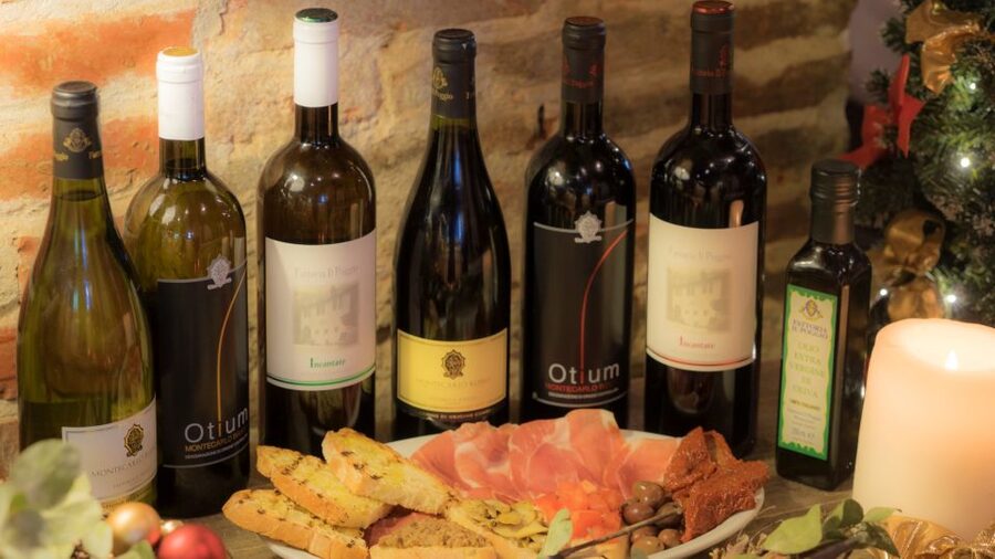 From Montecatini Terme: Wine Experience in Tuscan Farm - A short walk among vines and olive trees