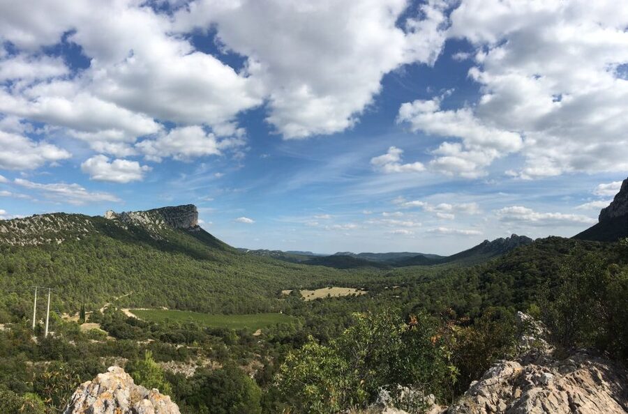 From Montpellier: Half-Day Vineyard & Pic Saint-Loup Tour - Who will enjoy this tour most?