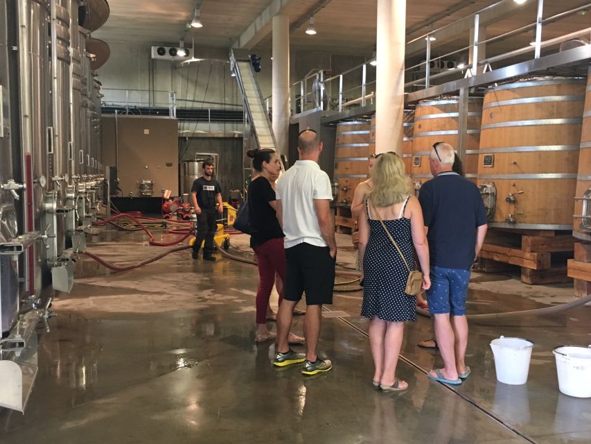From Montpellier: Half-Day Vineyard & Pic Saint-Loup Tour - Why Pic Saint-Loup makes a good short wine escape