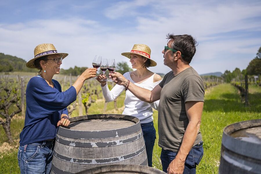 From Montpellier: Half-Day Vineyard & Pic Saint-Loup Tour - First estate: from vineyard work to finished wine