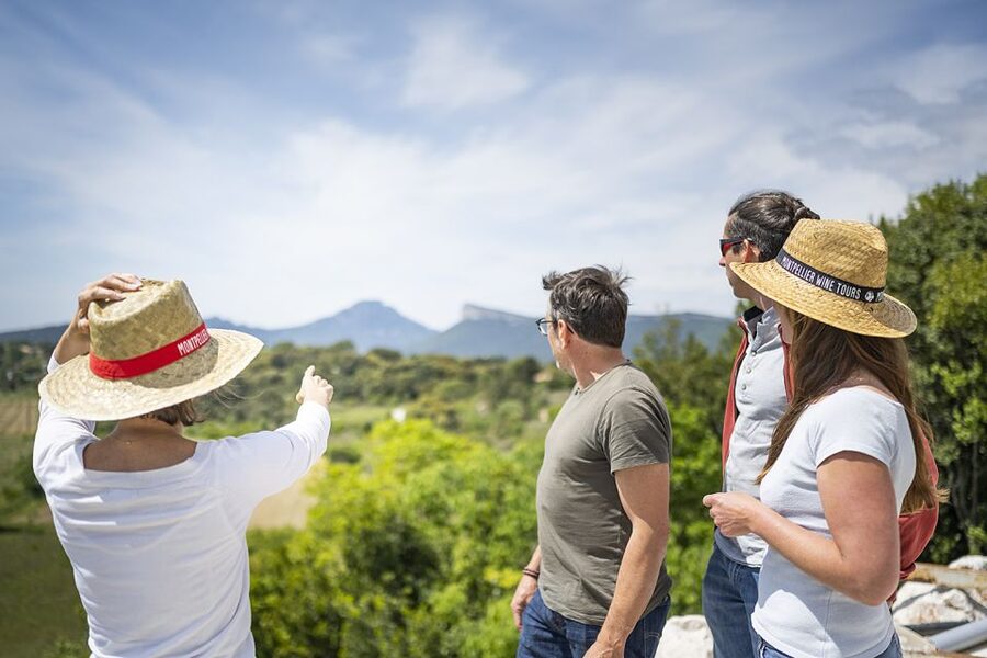 From Montpellier: Half-Day Vineyard & Pic Saint-Loup Tour - The tasting workshop, with reds, whites, and rosés