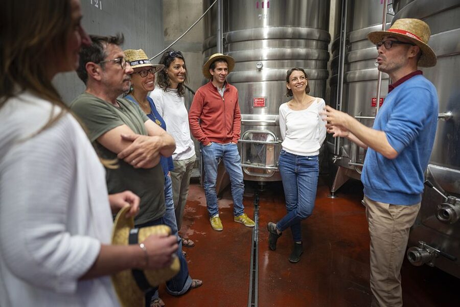From Montpellier: Half-Day Vineyard & Pic Saint-Loup Tour - The short hop to the second estate