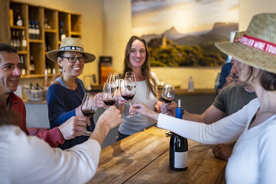 From Montpellier: Half-Day Vineyard & Pic Saint-Loup Tour - Price, group size, and overall value