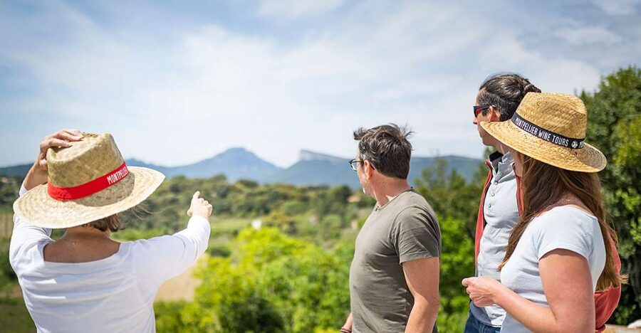 From Montpellier: Half-Day Vineyard & Pic Saint-Loup Tour - Which guide and language should you expect?