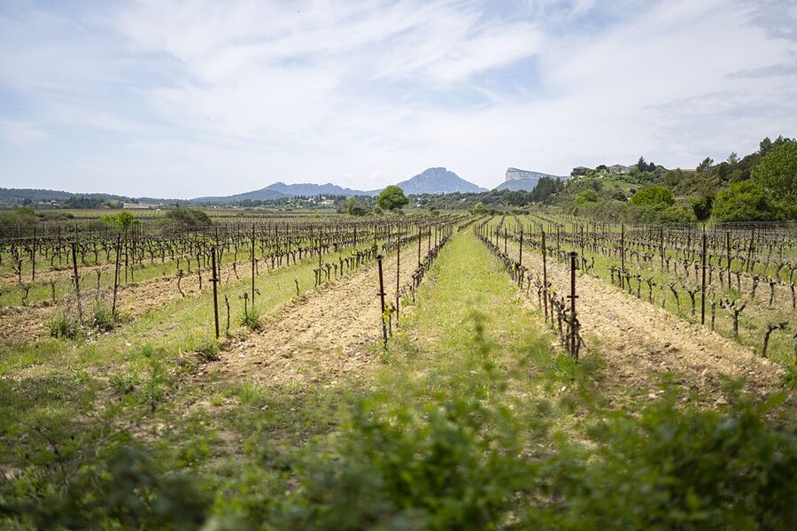 From Montpellier: Half-Day Vineyard & Pic Saint-Loup Tour - The pickup and the 40-minute ride from Montpellier