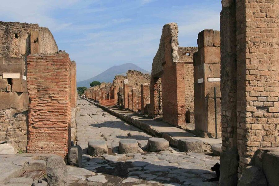 From Naples: Pompeii and Wine Tasting Tour with Lunch - Should you book the Pompeii and wine tasting tour?