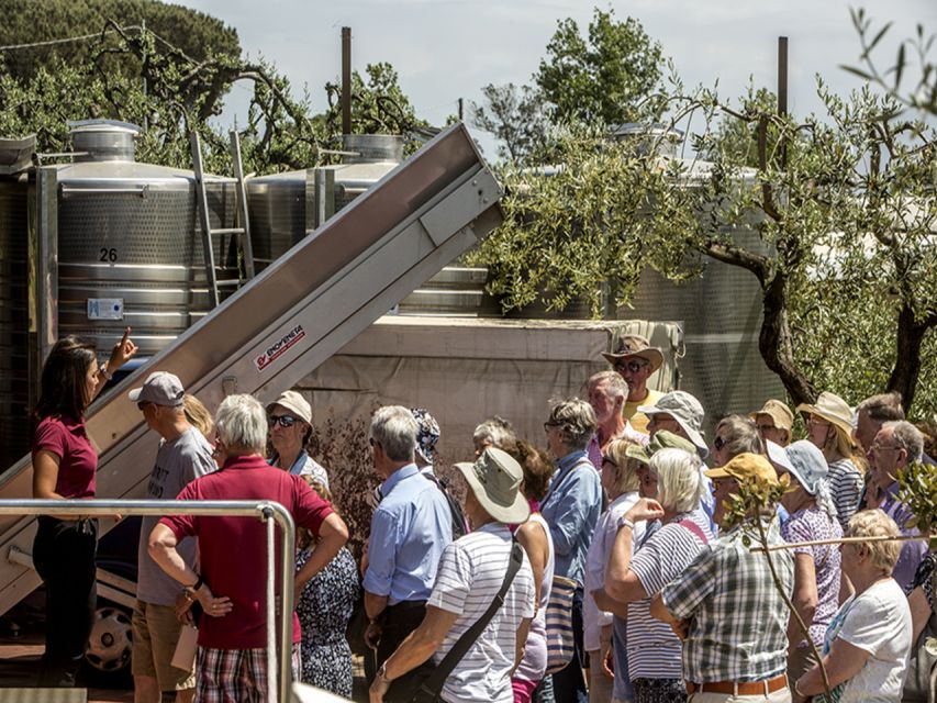 From Naples: Pompeii and Wine Tasting Tour with Lunch - Pompeii in two hours: what you will actually see