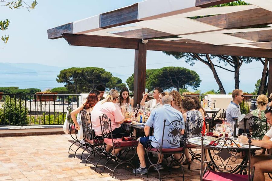 From Naples: Wine Tasting Tour on Vesuvius Slopes with Lunch - From Naples to the volcanic slopes