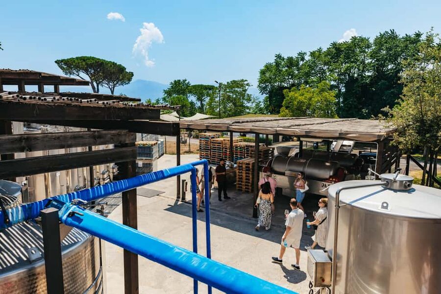 From Naples: Wine Tasting Tour on Vesuvius Slopes with Lunch - Booking and meeting-point advice