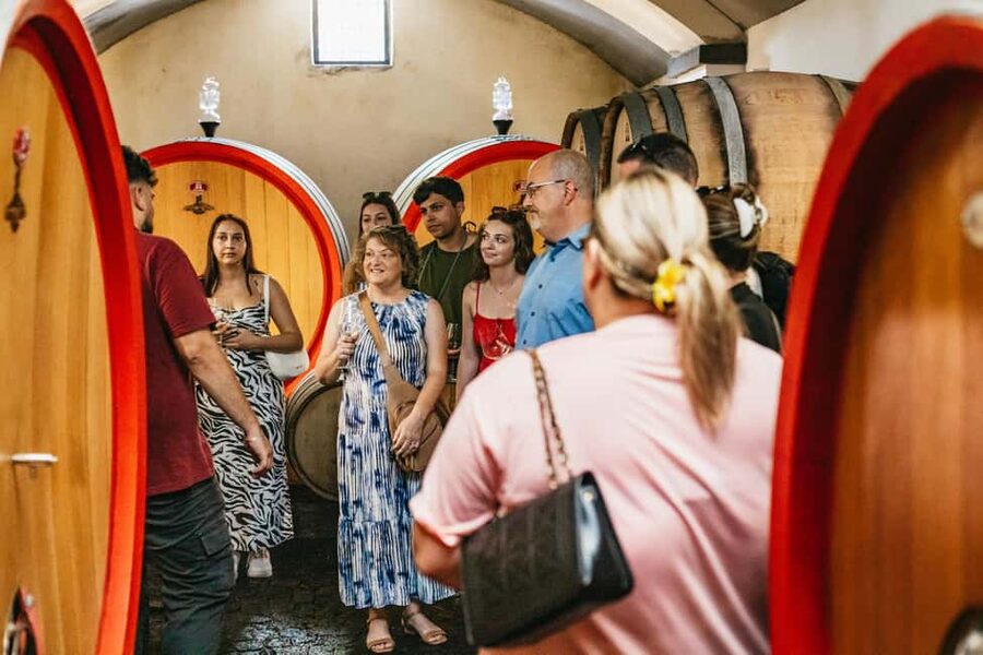 From Naples: Wine Tasting Tour on Vesuvius Slopes with Lunch - The staff shape the experience