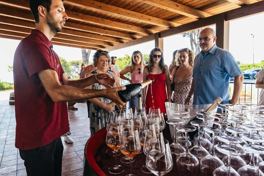 From Naples: Wine Tasting Tour on Vesuvius Slopes with Lunch - Buying wine, olive oil, and local products