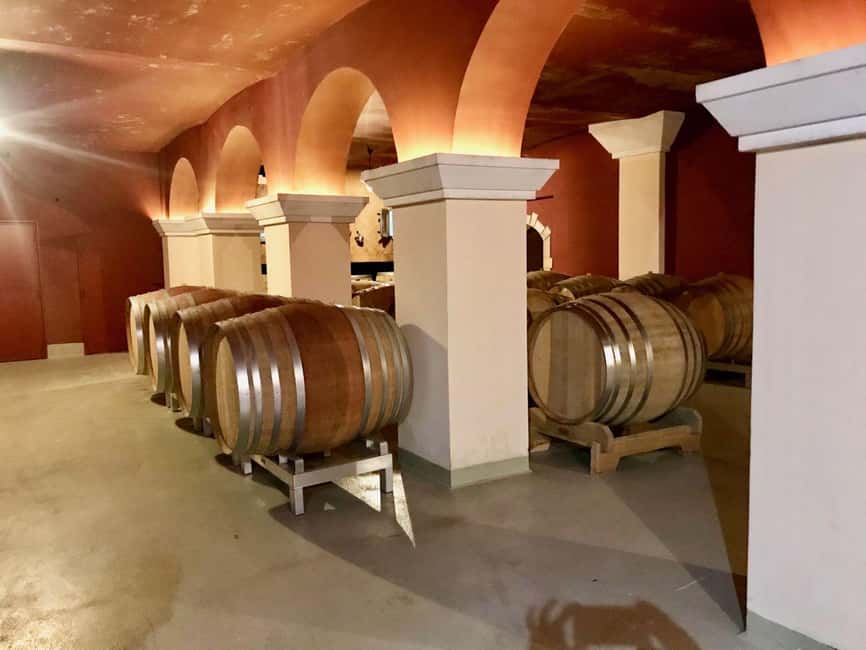 From Nice: Cannes, Saint Paul de Vence and Wine Tasting - Guides, vehicles, and the day-to-day comfort