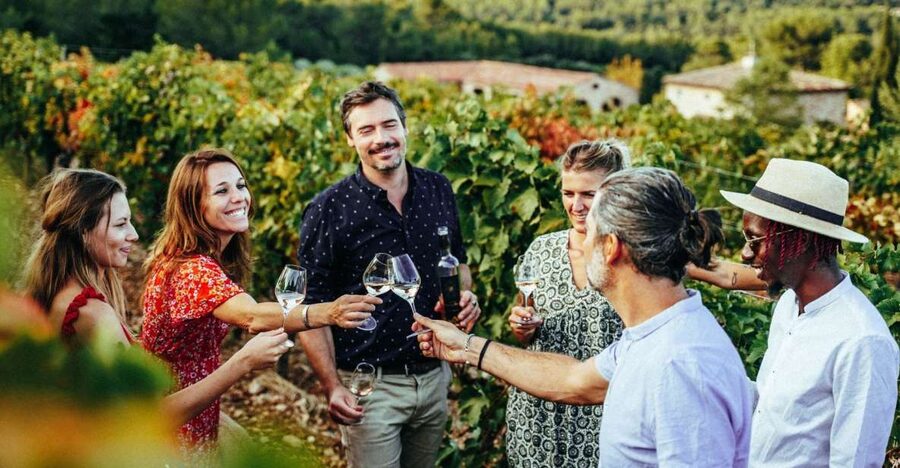 From Nice: Provence Wine Full-Day Tour - Who should book this day