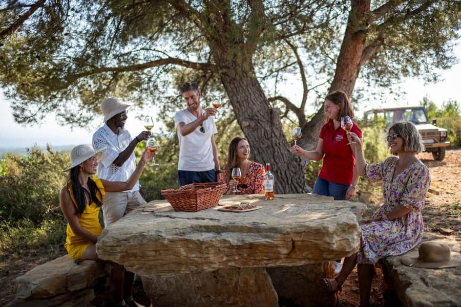 From Nice: Provence Wine Full-Day Tour - Why this Provence wine tour works from Nice