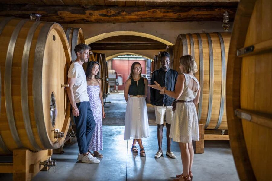 From Nice: Provence Wine Full-Day Tour - Lunch in a medieval Provençal village