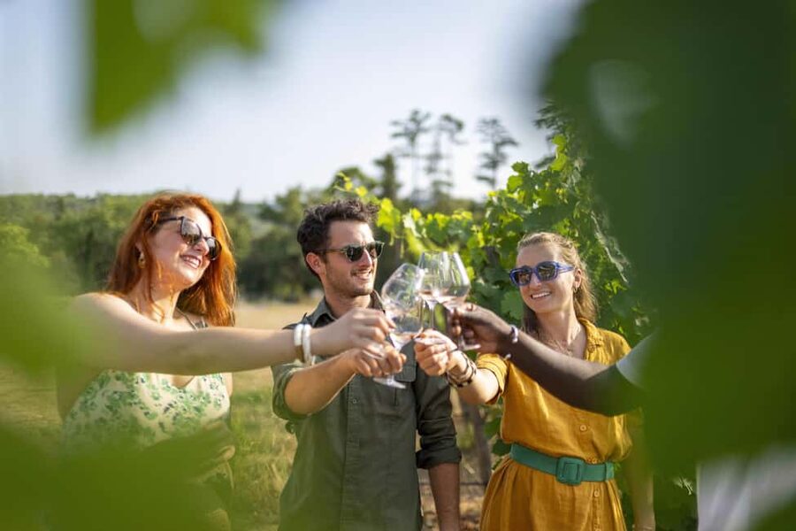 From Nice: Provence Wine Full-Day Tour - The guides make or break the day