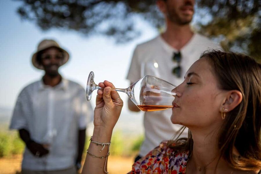 From Nice: Provence Wine Full-Day Tour - What the $211 price includes