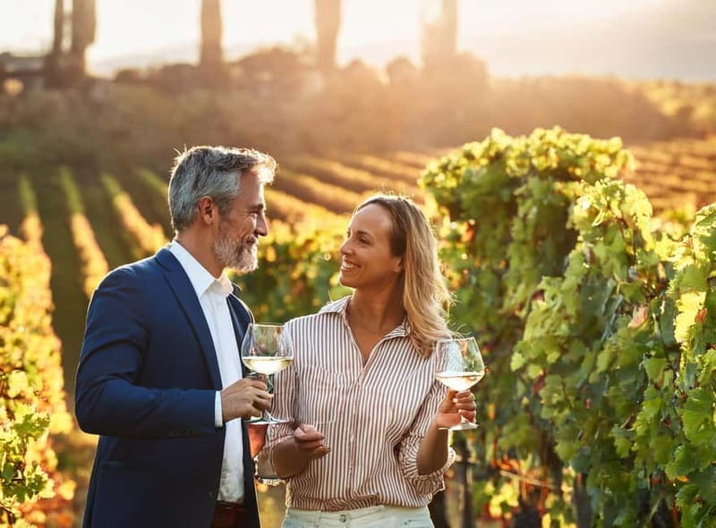 From Palma de Mallorca: Private Wine and Local Flavors Tour - From Palma to the vineyards of Binissalem