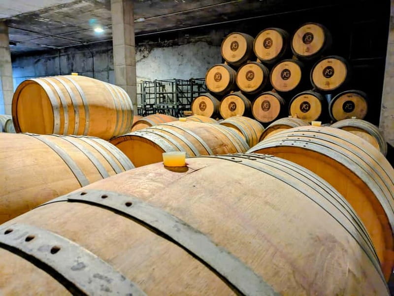 From Palma de Mallorca: Private Wine and Local Flavors Tour - Four wines and a table of Mallorcan flavors