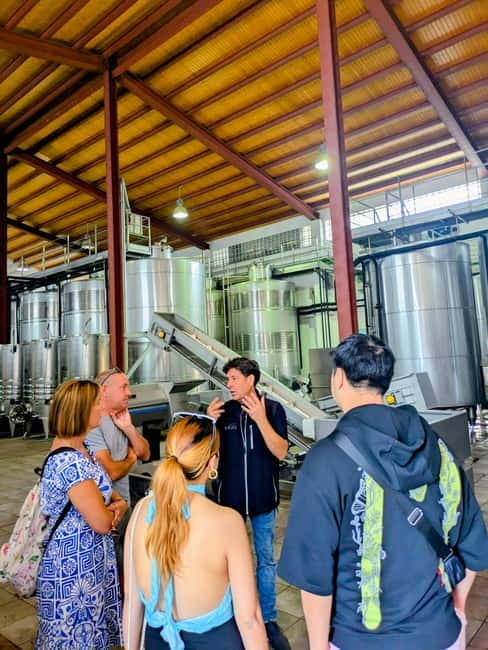 From Palma de Mallorca: Private Wine and Local Flavors Tour - Is $71 good value for three hours?