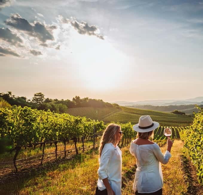 From Palma de Mallorca: Private Wine and Local Flavors Tour - A working Mallorcan winery, not just a tasting room