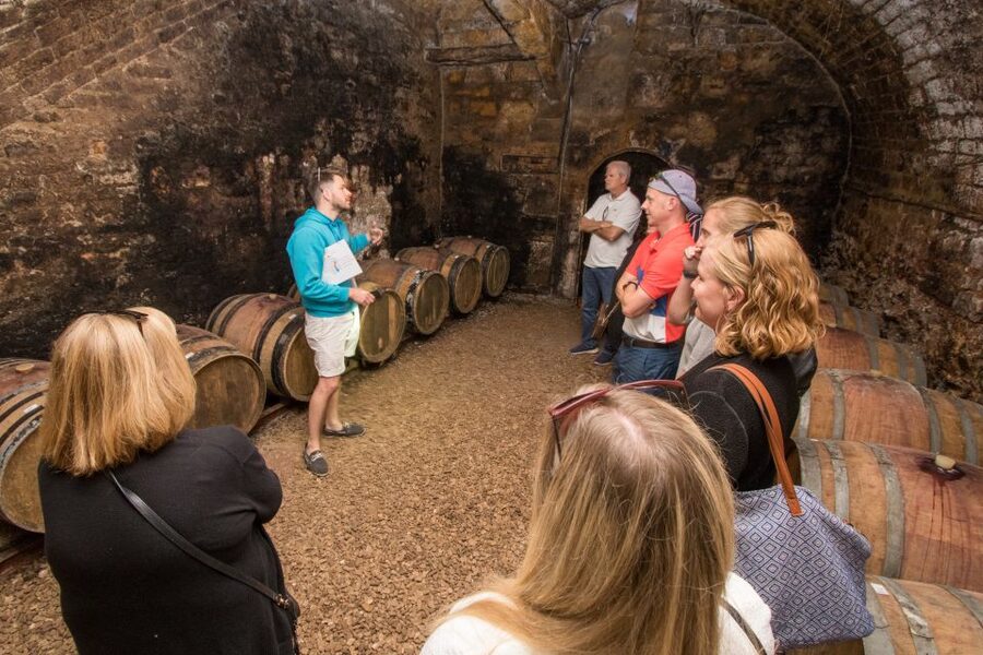 From Paris: Burgundy Region Winery Tour with Tastings - Key points to know before booking