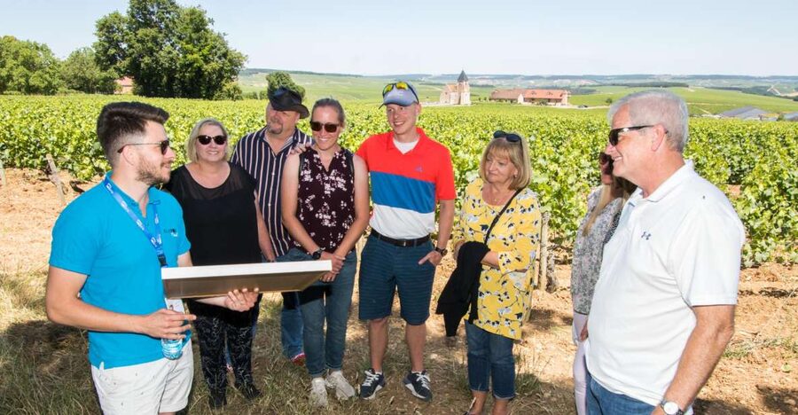 From Paris: Burgundy Region Winery Tour with Tastings - Why this Burgundy trip works from Paris