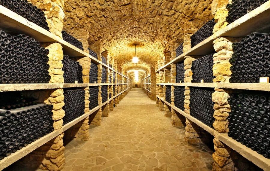 From Paris: Burgundy Region Winery Tour with Tastings - The van ride, timing, and comfort
