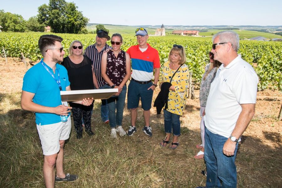 From Paris: Burgundy Region Winery Tour with Tastings - Domaine Jean-Marc Brocard and the Chablis introduction