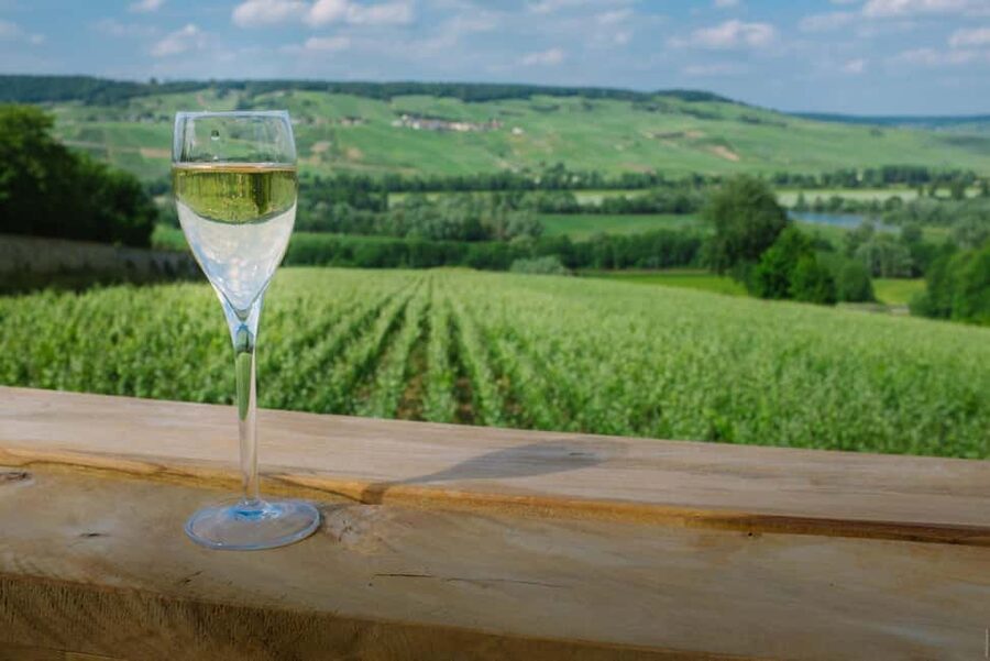 From Paris: Champagne Day Trip with 7 Tastings and Lunch - Who will get the most from this day