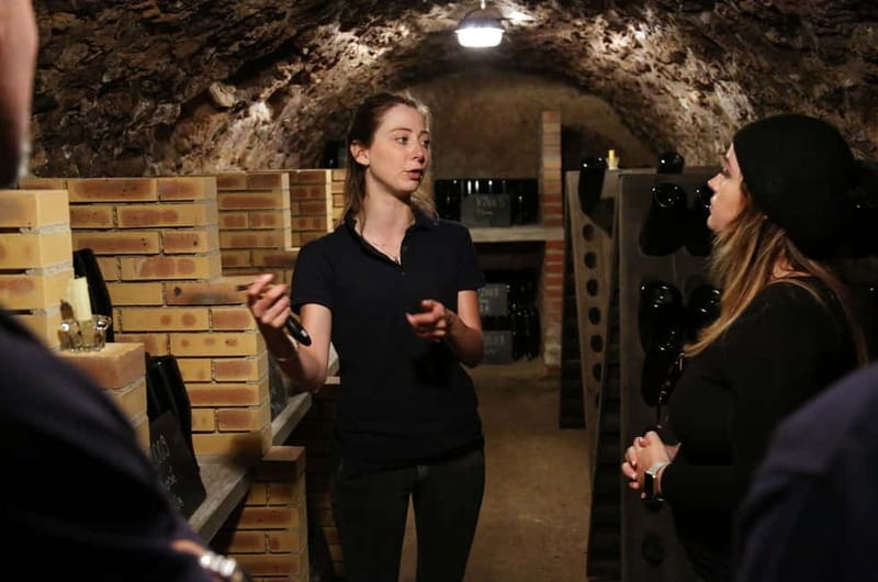 From Paris: Champagne Day Trip with 7 Tastings and Lunch - First producer: seeing Champagne made at scale