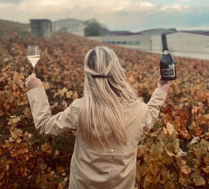 From Paris: Champagne Day Trip with 7 Tastings and Lunch - The family estate and the personal side of Champagne