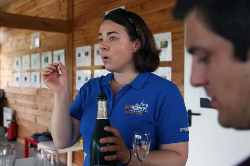 From Paris: Champagne Day Trip with 7 Tastings and Lunch - What the small group changes