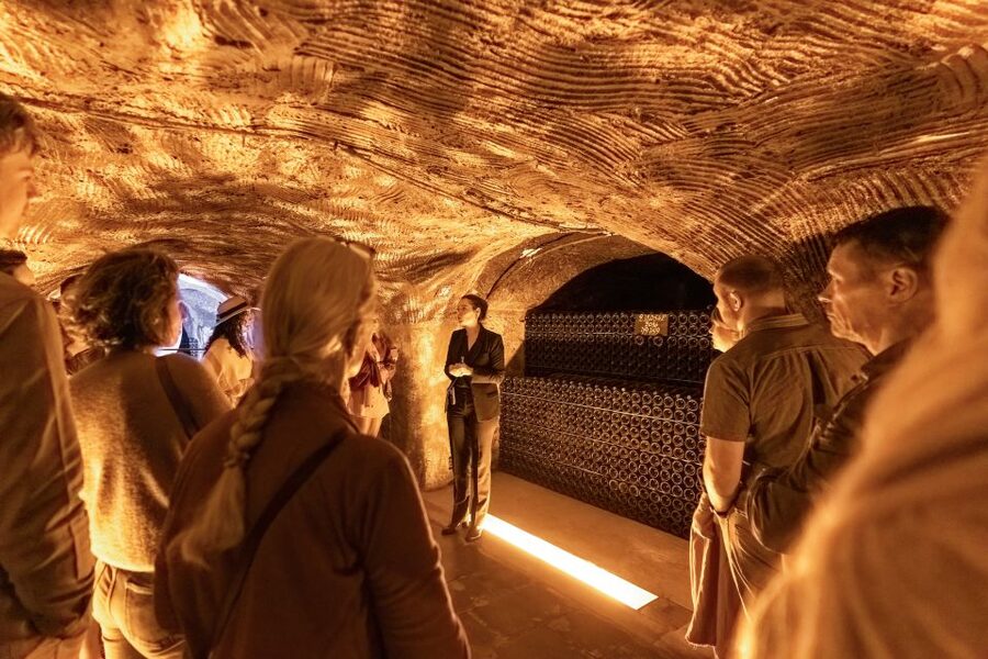 From Paris: Day Trip to Champagne with 8 Tastings & Lunch - Is $345 a fair price?