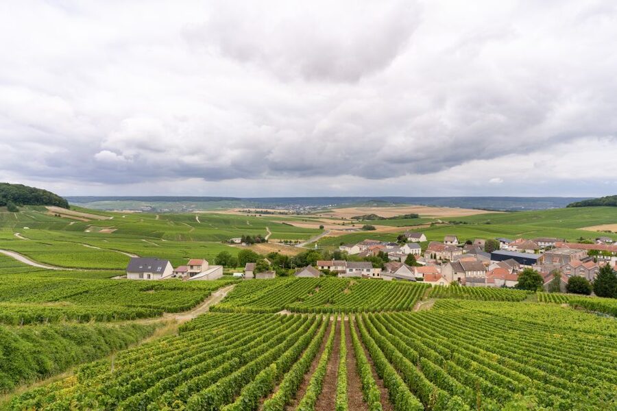 From Paris: Day Trip to Champagne with 8 Tastings & Lunch - Vineyard roads and a glass outdoors