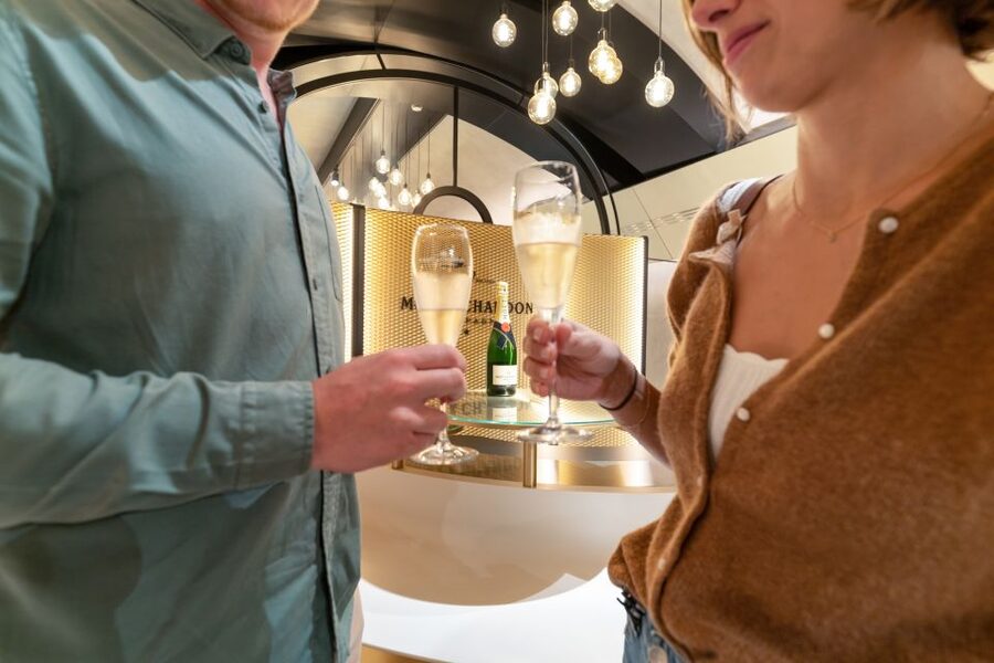 From Paris: Day Trip to Champagne with 8 Tastings & Lunch - The smaller producer and the cooperative difference