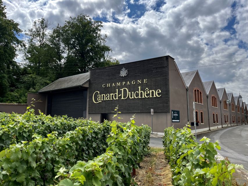 From Paris: Reims and Champagne Tasting Full-Day Tour - Guides, group size, and the feel of the day