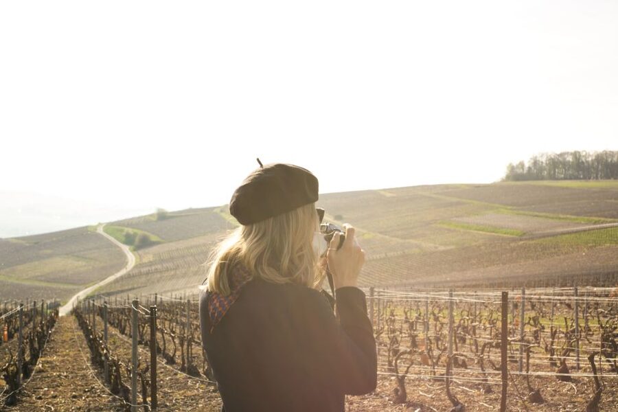 From Paris: Reims and Champagne Tasting Full-Day Tour - Meeting a smaller producer