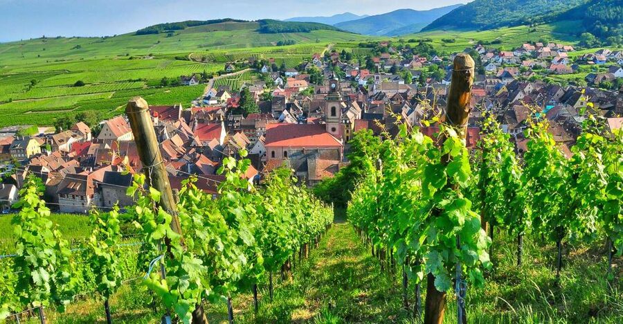 From Paris: Small-Group Champagne Day Trip with Six Tastings - Key points at a glance