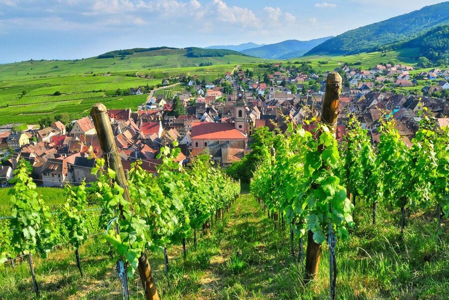 From Paris: Small-Group Champagne Day Trip with Six Tastings - Epernay gives you a lunch break