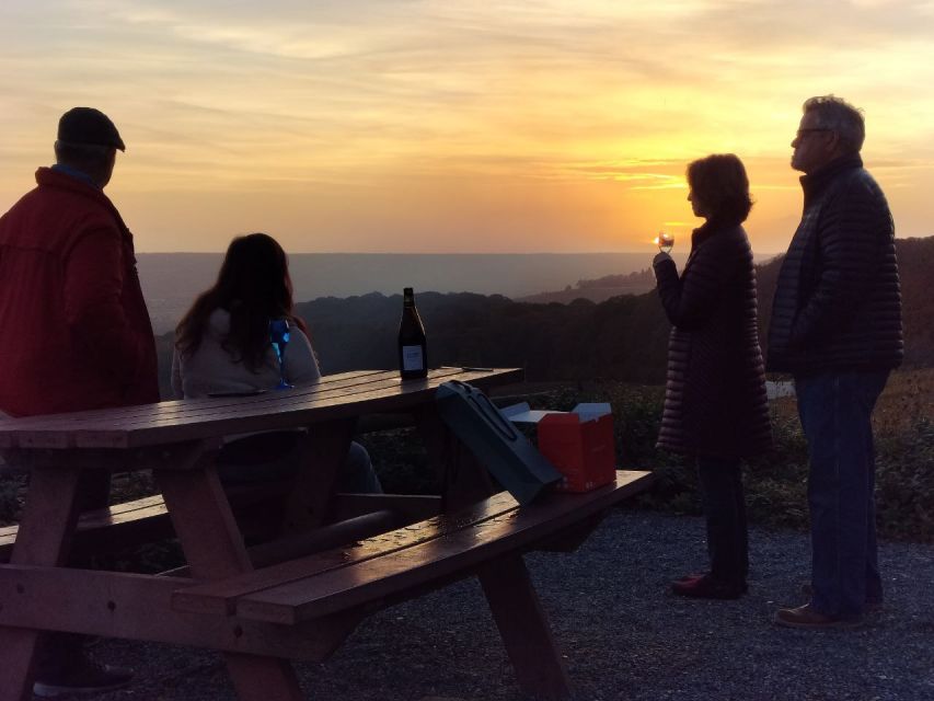 From Paris: Small-Group Champagne Tour with 3-Course Lunch - Who should book this tour