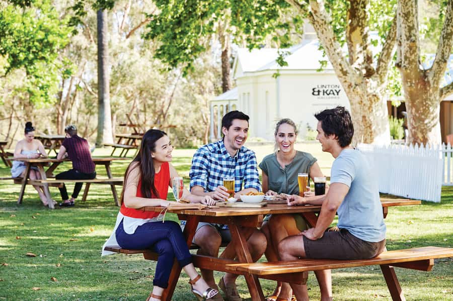 From Perth: Swan Valley Cruise, Winery, Cheese & Lunch - Wine tasting and the shared platter lunch