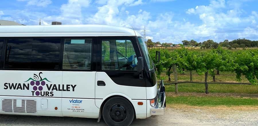 From Perth: Swan Valley Winery & Brewery Day Tour With Lunch - What makes the brewery stops useful